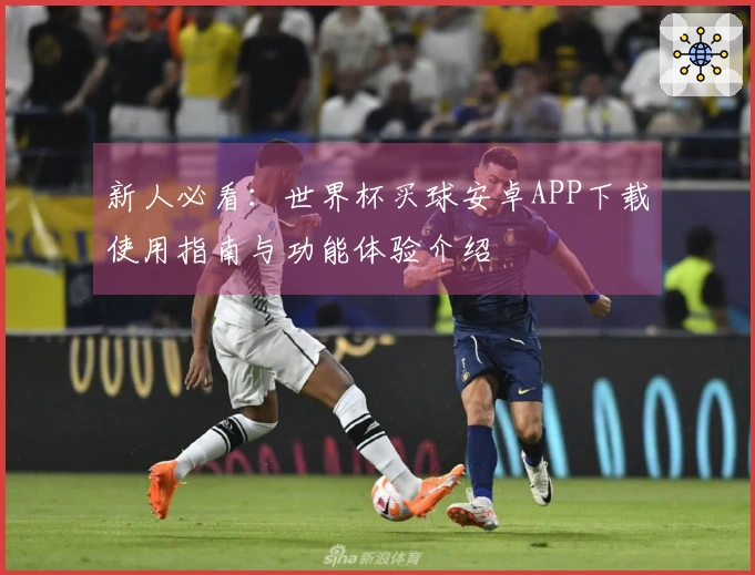 新人必看：世界杯买球安卓APP下载使用指南与功能体验介绍
