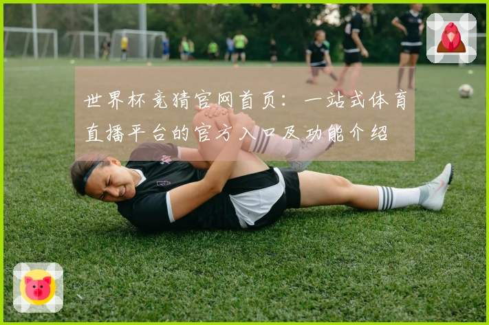世界杯竞猜官网首页：一站式体育直播平台的官方入口及功能介绍