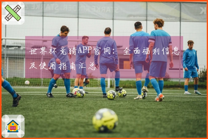 世界杯竞猜APP官网：全面福利信息及使用指南汇总