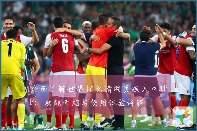 全面了解世界杯竞猜网页版入口APP：功能介绍与使用体验详解