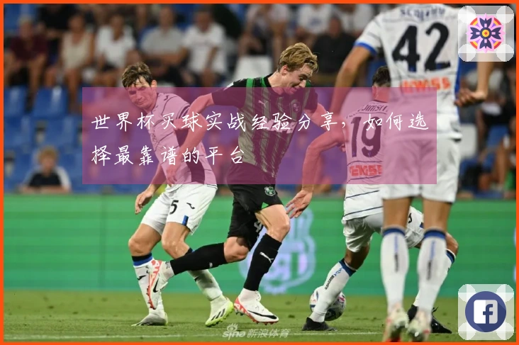 世界杯买球实战经验分享，如何选择最靠谱的平台