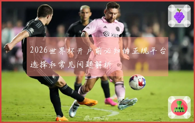 2026世界杯开户前必知的正规平台选择和常见问题解析
