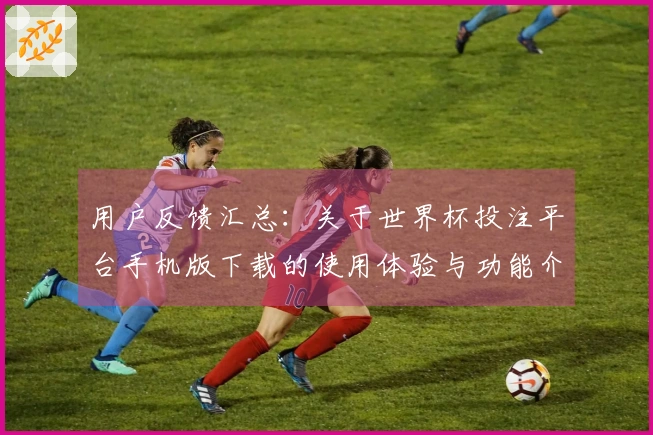 用户反馈汇总：关于世界杯投注平台手机版下载的使用体验与功能介绍