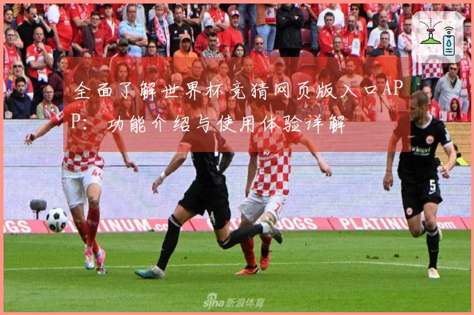 全面了解世界杯竞猜网页版入口APP：功能介绍与使用体验详解