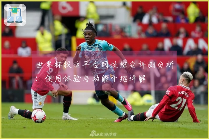世界杯投注平台网址综合评测分析：使用体验与功能介绍详解