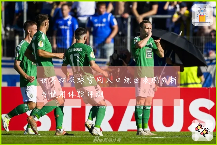 世界杯买球官网入口综合表现分析与使用体验评测