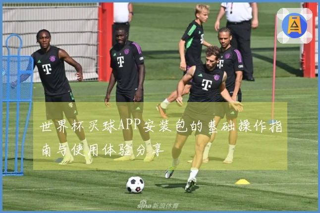 世界杯买球APP安装包的基础操作指南与使用体验分享