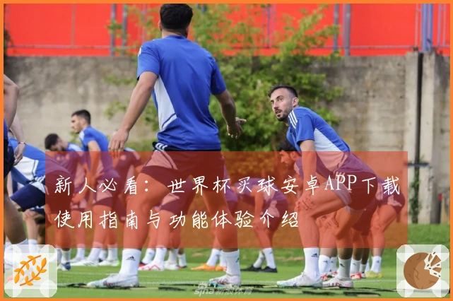 新人必看：世界杯买球安卓APP下载使用指南与功能体验介绍