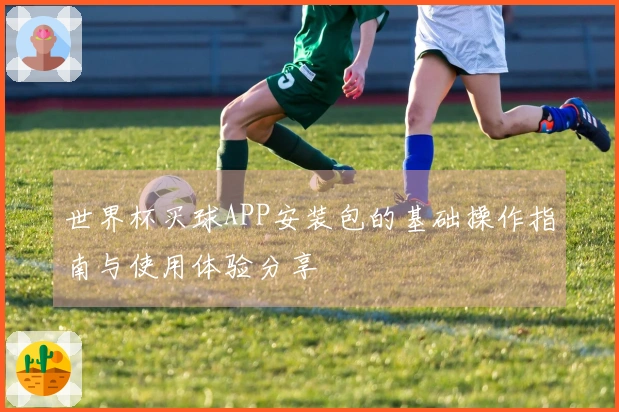 世界杯买球APP安装包的基础操作指南与使用体验分享