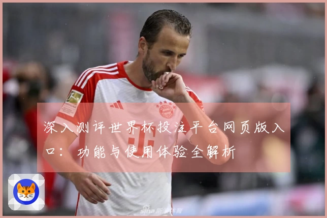 深入测评世界杯投注平台网页版入口：功能与使用体验全解析