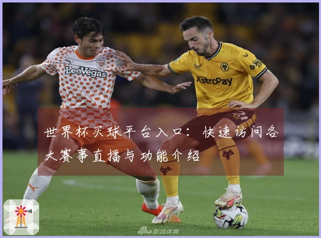 世界杯买球平台入口:快速访问各大赛事直播与功能介绍