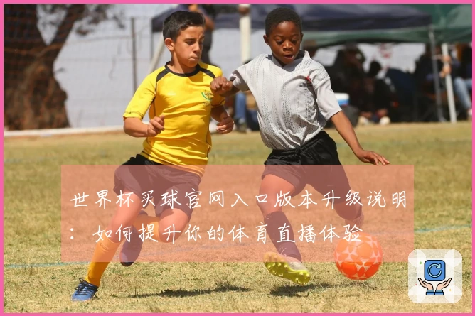 世界杯买球官网入口版本升级说明：如何提升你的体育直播体验