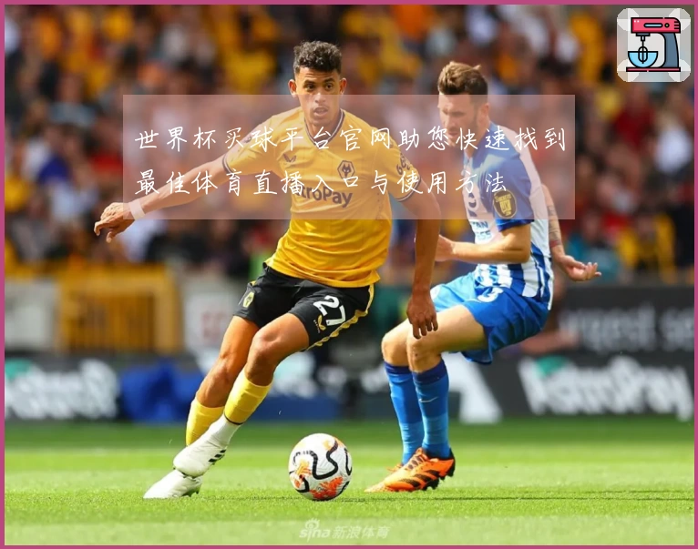 世界杯买球平台官网助您快速找到最佳体育直播入口与使用方法