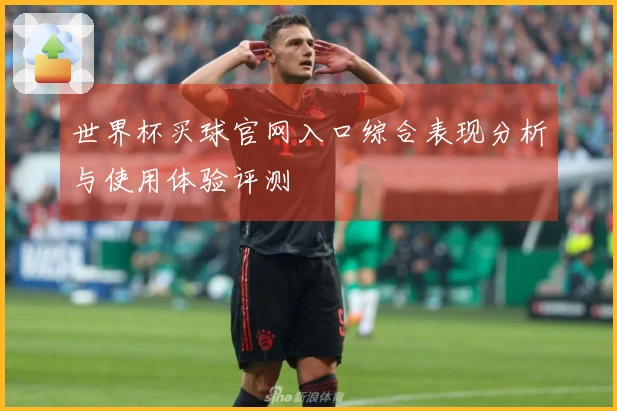 世界杯买球官网入口综合表现分析与使用体验评测