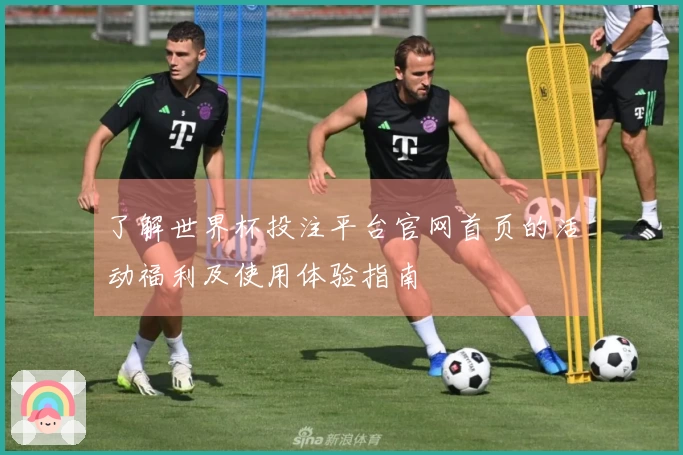 了解世界杯投注平台官网首页的活动福利及使用体验指南