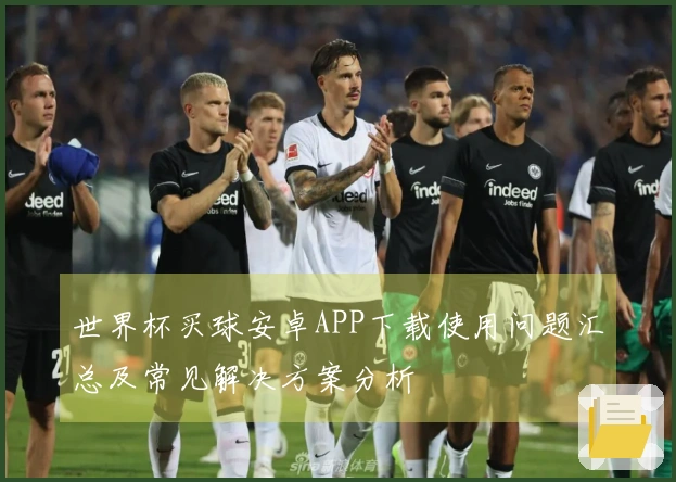 世界杯买球安卓APP下载使用问题汇总及常见解决方案分析